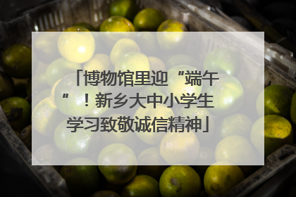博物馆里迎“端午”！新乡大中小学生学习致敬诚信精神