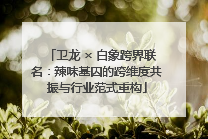 卫龙 × 白象跨界联名：辣味基因的跨维度共振与行业范式重构