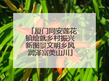 厦门同安莲花镇绘就乡村振兴新图景文明乡风润泽富美山川