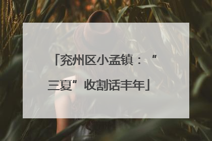 兖州区小孟镇：“三夏”收割话丰年