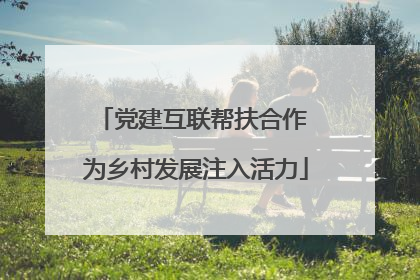 党建互联帮扶合作 为乡村发展注入活力