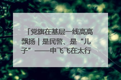 党旗在基层一线高高飘扬｜是民警、是“儿子”——申飞飞在太行山中的一线坚守
