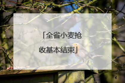 全省小麦抢收基本结束