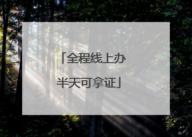 全程线上办 半天可拿证