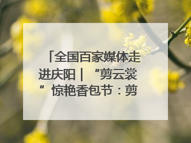 全国百家媒体走进庆阳｜“剪云裳”惊艳香包节：剪纸跃上华服 非遗焕发新彩
