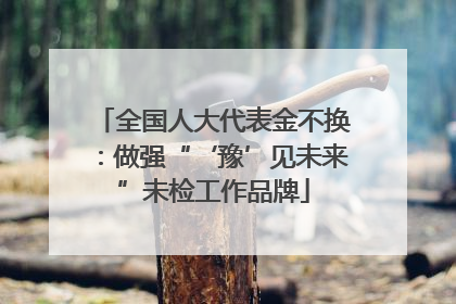 全国人大代表金不换：做强“‘豫’见未来”未检工作品牌