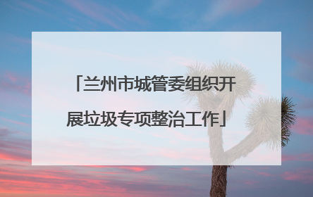 兰州市城管委组织开展垃圾专项整治工作