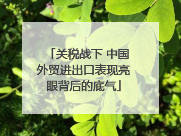 关税战下 中国外贸进出口表现亮眼背后的底气