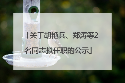 关于胡艳兵、郑涛等2名同志拟任职的公示