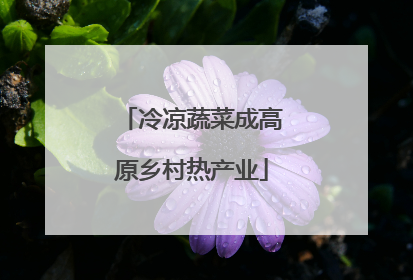 冷凉蔬菜成高原乡村热产业