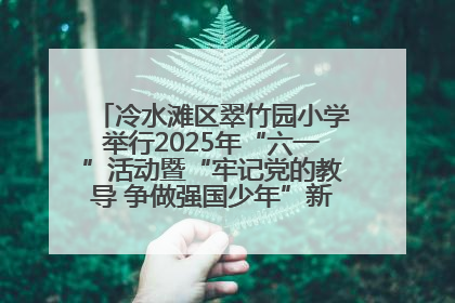 冷水滩区翠竹园小学举行2025年“六一”活动暨“牢记党的教导 争做强国少年”新队员入队仪式