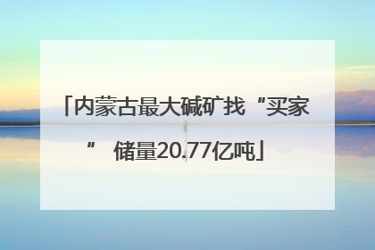 内蒙古最大碱矿找“买家” 储量20.77亿吨