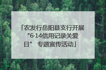 农发行岳阳县支行开展“6·14信用记录关爱日” 专题宣传活动