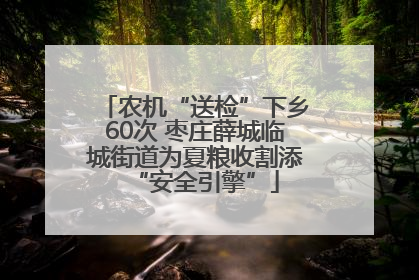 农机“送检”下乡60次 枣庄薛城临城街道为夏粮收割添“安全引擎”
