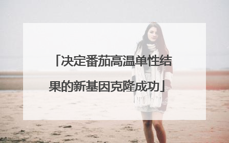决定番茄高温单性结果的新基因克隆成功