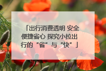 出行消费透明 安全便捷省心 探究小拉出行的“省”与“快”
