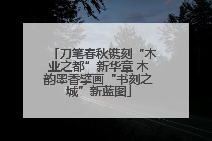 刀笔春秋镌刻“木业之都”新华章 木韵墨香擘画“书刻之城”新蓝图