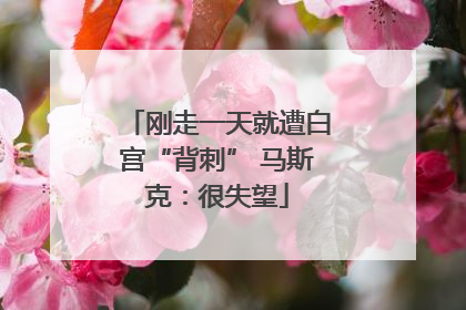 刚走一天就遭白宫“背刺” 马斯克：很失望
