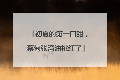 初夏的第一口甜，蔡甸张湾油桃红了
