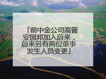 前中金公司高管安国邦加入蔚来，蔚来另有两位董事发生人员变更