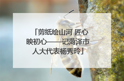 剪纸绘山河 匠心映初心——记菏泽市人大代表杨秀玲