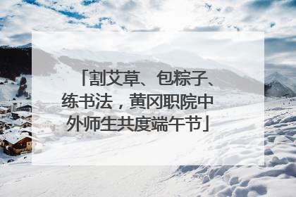 割艾草、包粽子、练书法，黄冈职院中外师生共度端午节