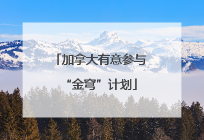加拿大有意参与“金穹”计划