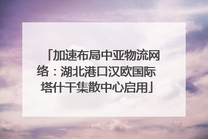 加速布局中亚物流网络：湖北港口汉欧国际塔什干集散中心启用