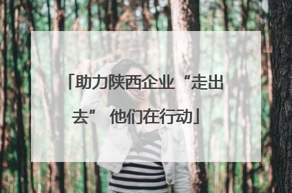 助力陕西企业“走出去” 他们在行动