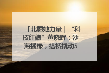北疆她力量｜“科技红娘”黄晓辉：沙海播绿，搭桥撬动5.3亿研发