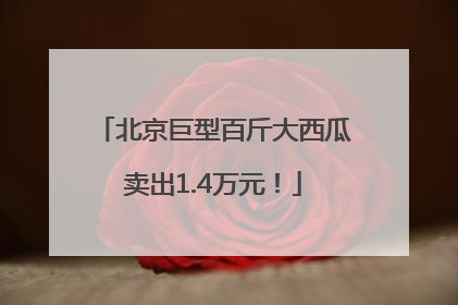北京巨型百斤大西瓜卖出1.4万元！