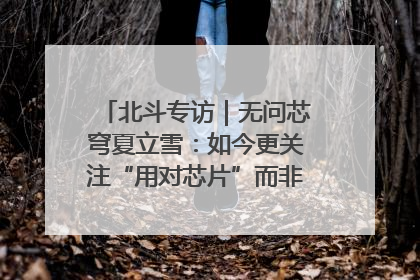 北斗专访｜无问芯穹夏立雪：如今更关注“用对芯片”而非“用贵芯片”