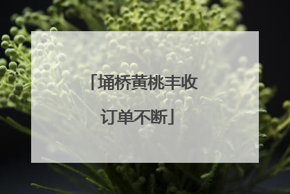 埇桥黄桃丰收 订单不断