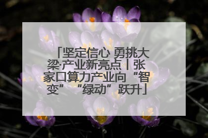 坚定信心 勇挑大梁·产业新亮点丨张家口算力产业向“智变”“绿动”跃升