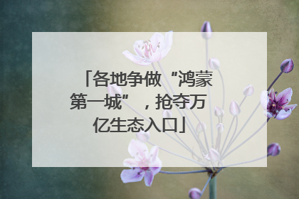 各地争做“鸿蒙第一城”，抢夺万亿生态入口