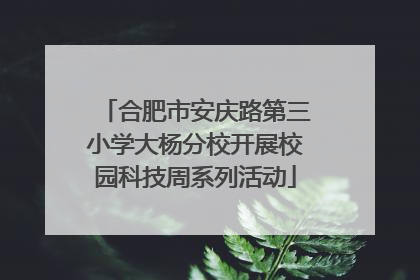 合肥市安庆路第三小学大杨分校开展校园科技周系列活动