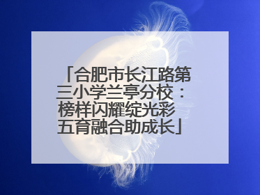 合肥市长江路第三小学兰亭分校：榜样闪耀绽光彩 五育融合助成长