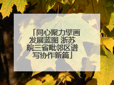 同心聚力擘画发展蓝图 浙苏皖三省毗邻区谱写协作新篇