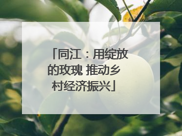 同江：用绽放的玫瑰 推动乡村经济振兴