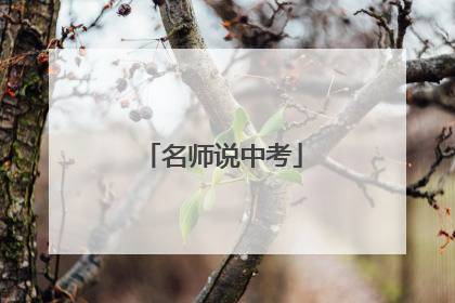 名师说中考