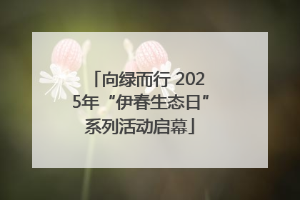 向绿而行 2025年“伊春生态日”系列活动启幕