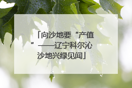 向沙地要“产值”——辽宁科尔沁沙地兴绿见闻