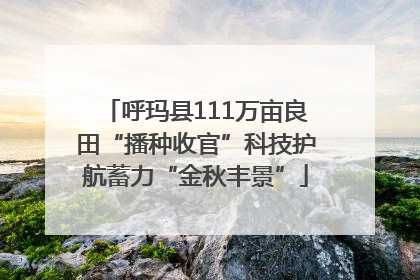呼玛县111万亩良田“播种收官”科技护航蓄力“金秋丰景”