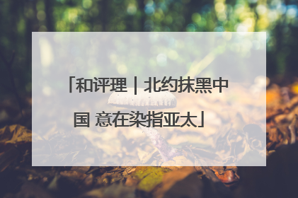 和评理｜北约抹黑中国 意在染指亚太