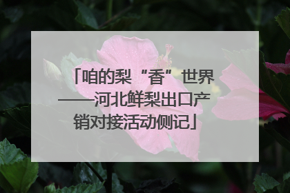咱的梨“香”世界——河北鲜梨出口产销对接活动侧记