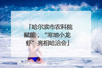 哈尔滨市农科院赋能，“寒地小龙虾”亮相哈洽会