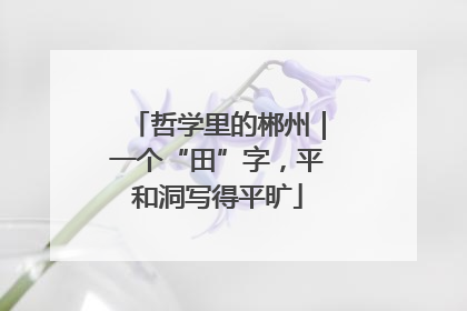 哲学里的郴州｜一个“田”字，平和洞写得平旷