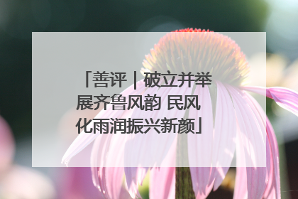 善评｜破立并举展齐鲁风韵 民风化雨润振兴新颜