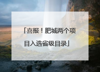 喜报！肥城两个项目入选省级目录