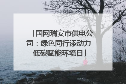 国网瑞安市供电公司：绿色同行添动力 低碳赋能环境日